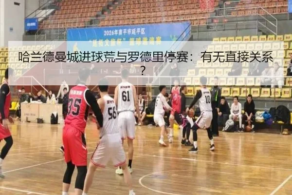 ha-lan-de-man-cheng-jin-qiu-huang-yu-luo-de-li-ting-sai-you-wu-zhi-jie-guan-xi-3-609.jpg